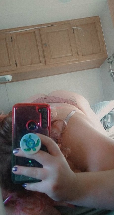 Lanicat1