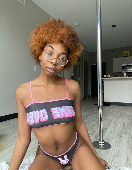 Cynslimxfree