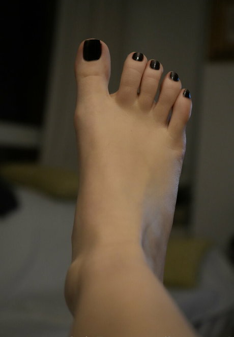 Dianacane1