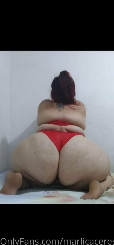 Marlicaceres