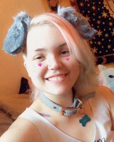 Pwuppydove