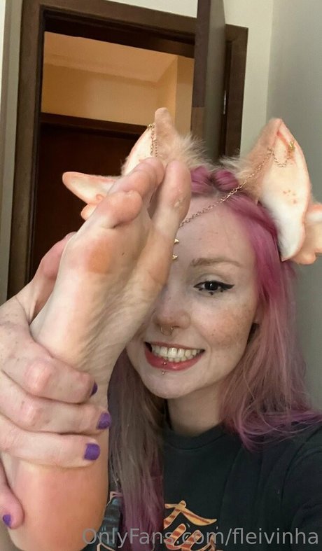 Fleivinha