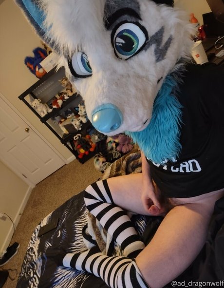 Addragonwolf
