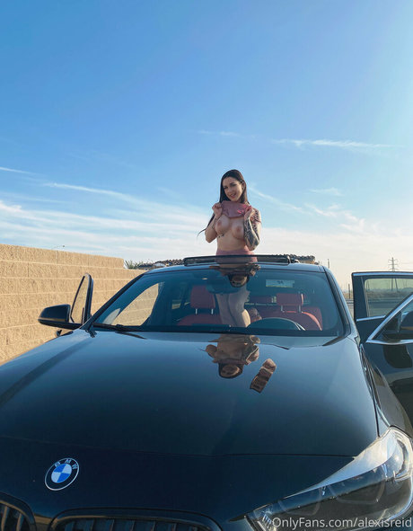 Alexisreid