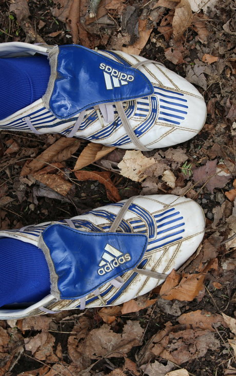 Islandermud