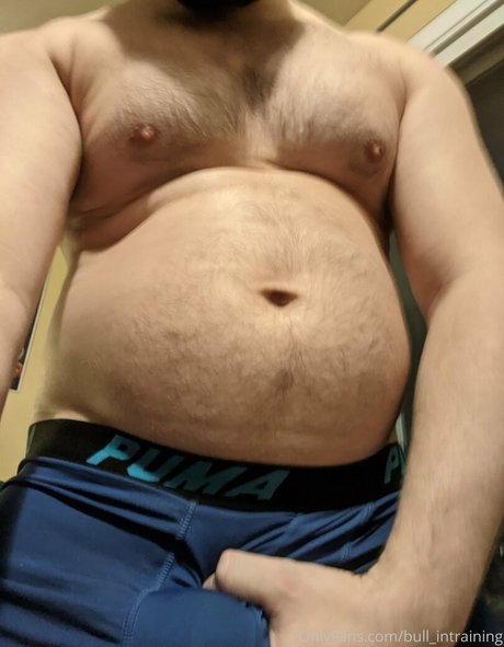Bullintraining