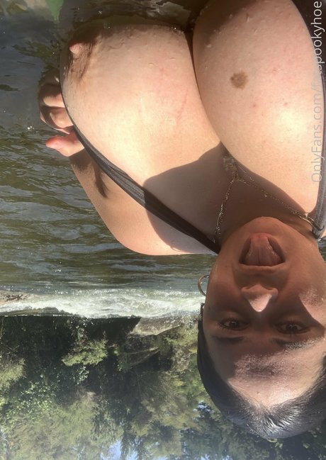 Kiwibbw