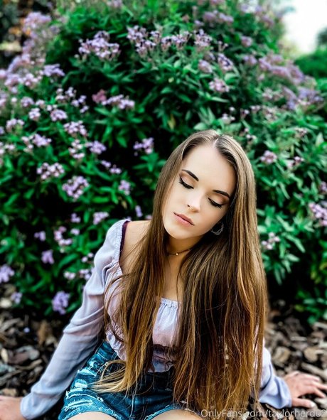 Taylorherd02