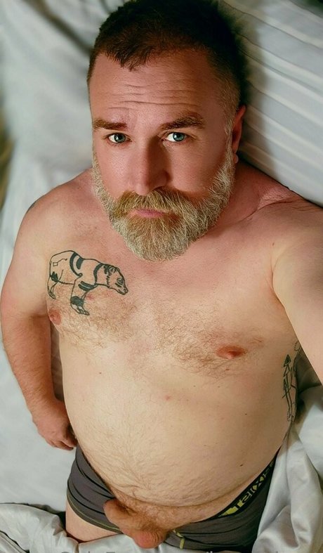 Bearinheat