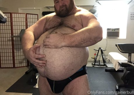 Gainerbull
