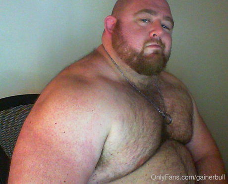 Gainerbull