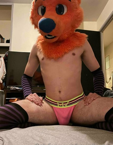 Naken lekkede OnlyFans-bilde av Houndhuskio