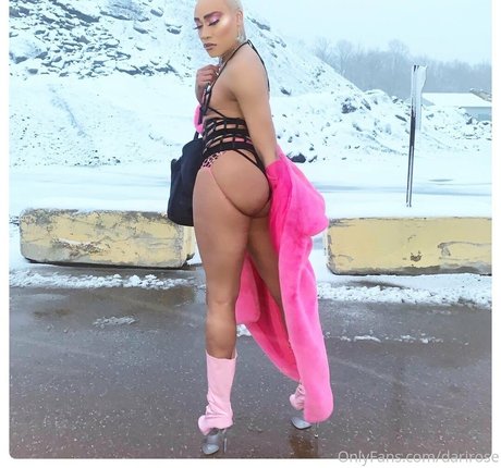 Darirose